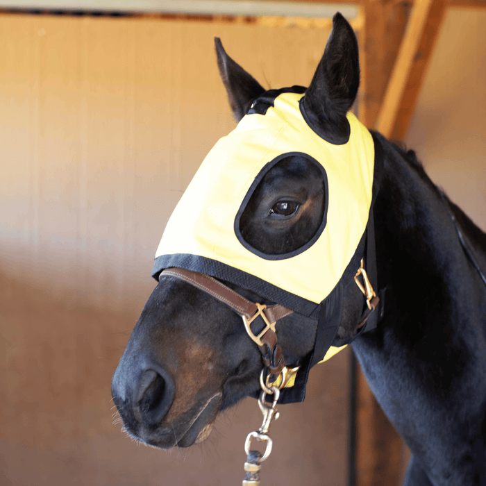 Thermotex Equine Far Infrared Heating Hood