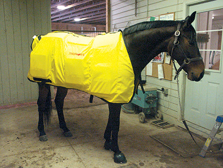 Thermotex Equine Far Infrared Heating 12 Pad Blanket