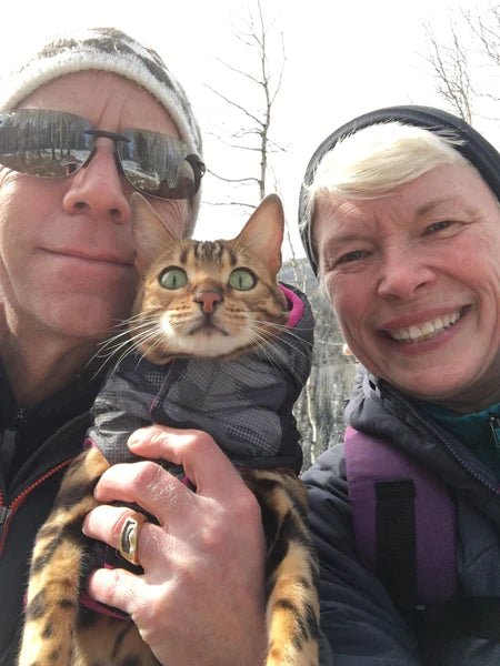 Introducing Roxy, A Bengal Adventure Cat Whose Parents Are Spreading the Comfort of Infrared Heat to Cats In Need