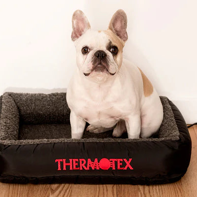Celebrate National Pet Day & Give the Gift that Gives Back by Supporting North American Shelters