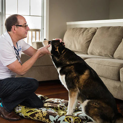 Pet-Centered Animal Care with Dr. Dekens of Montgomery Village Veterinary Clinic & Dekens Housecall Services