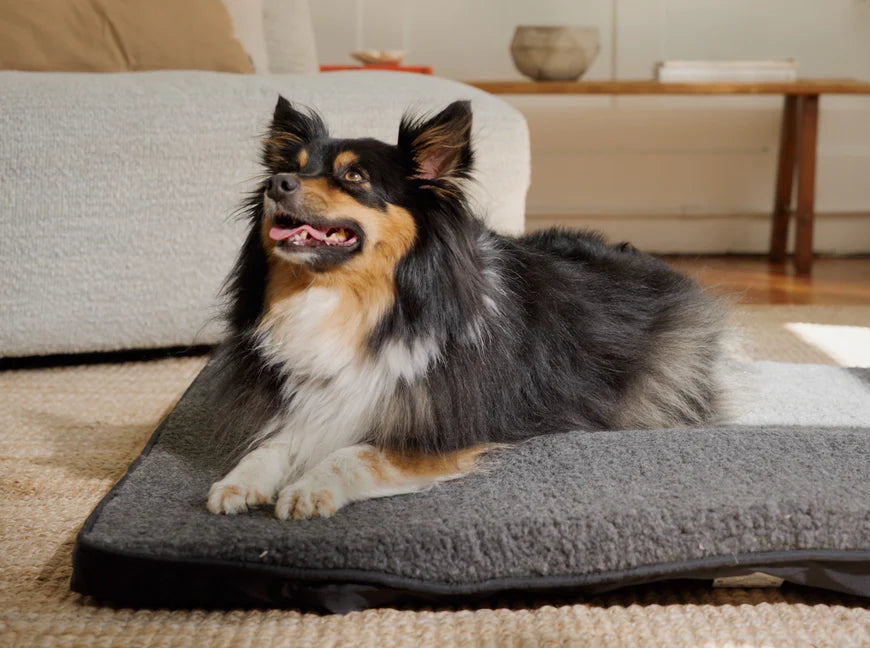 Thermotex Pet Pad Therapy System Manual
