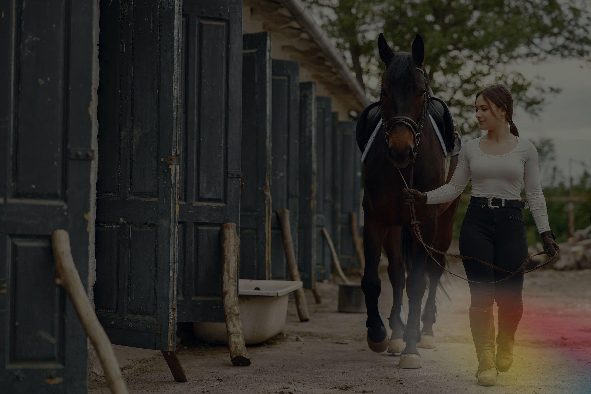 Thermotex Therapy Systems